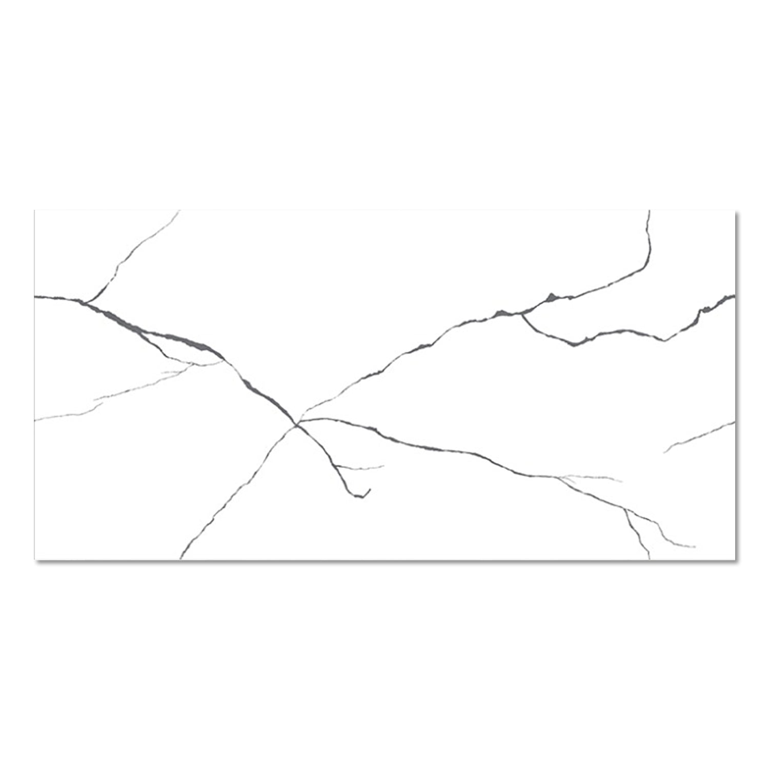 Zebra White Marble Effect Rectified Polished 60x120cm Wall & Floor Tile