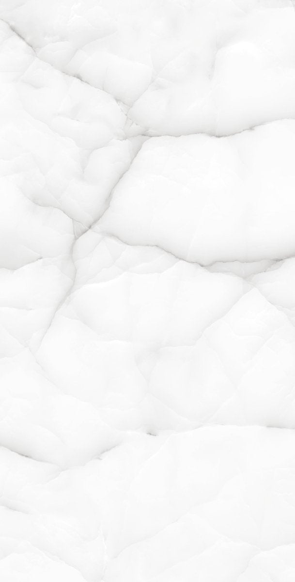 Aquarius Onyx Polished Porcelain 60x120cm Wall and Floor Tile - TILES Paradise