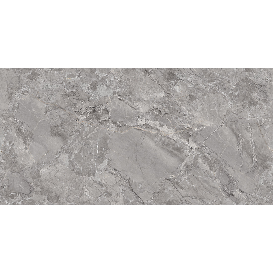 Endless Fontana Silver Marble Effect Matt Porcelain Tile 60x120cm