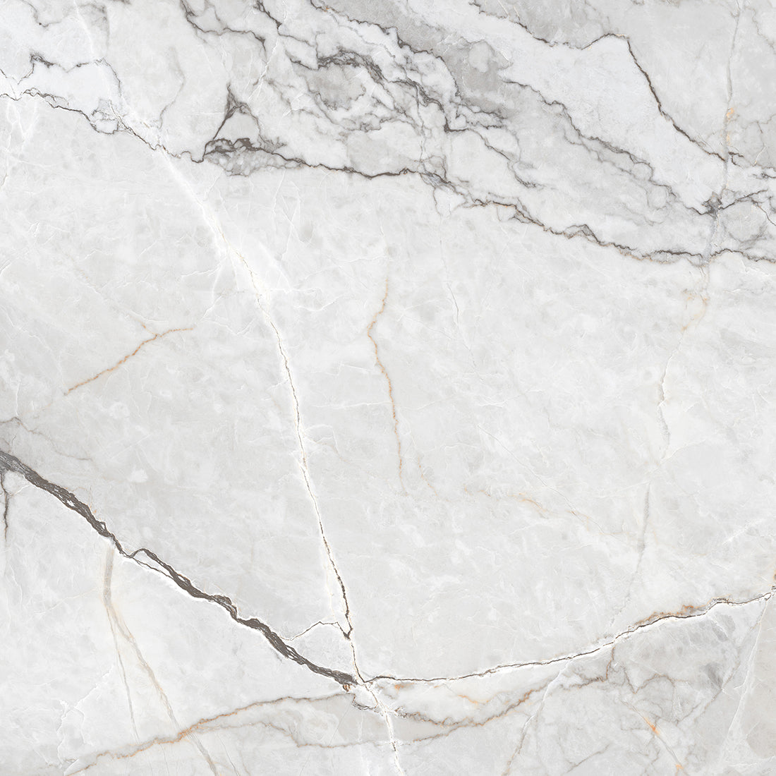 Sylvan Light Grey Marble Essence 60x60cm Polished Porcelain Wall & Floor Tile