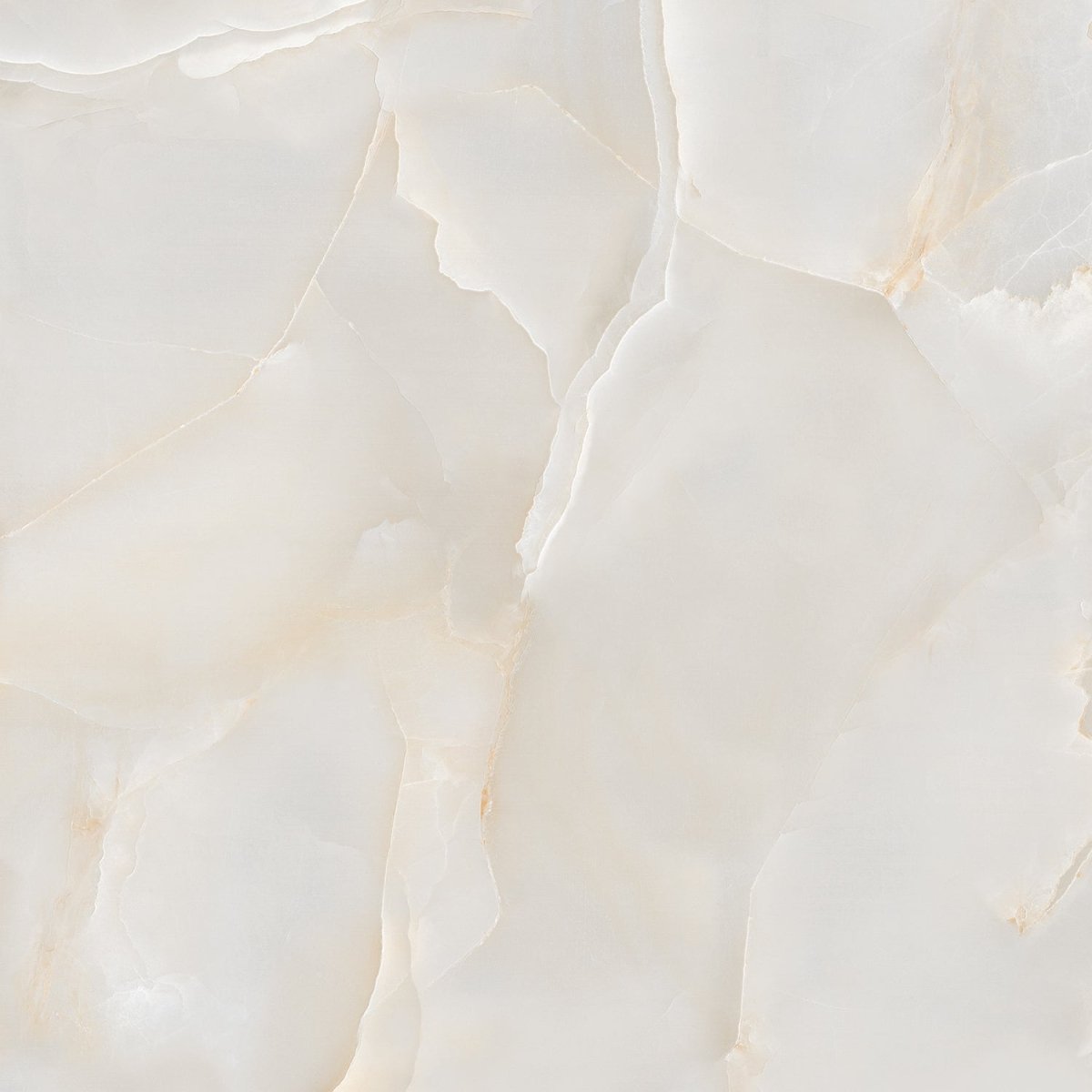 Onyx Diora Gold Polished 60x60cm Porcelain Wall and Floor Tile - TILES Paradise