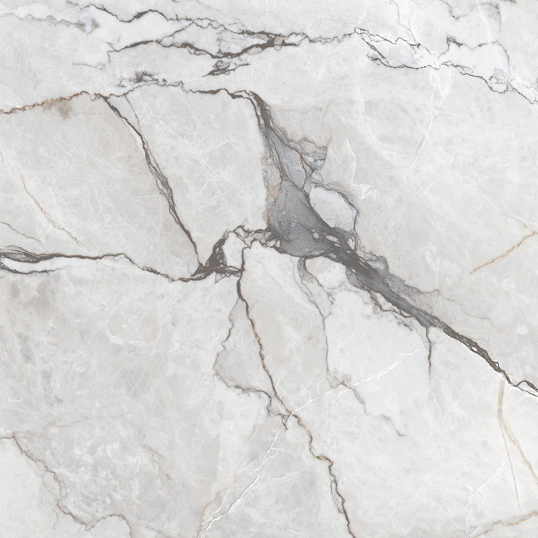 Sylvan Light Grey Marble Essence 60x60cm Polished Porcelain Wall & Floor Tile - TILES Paradise