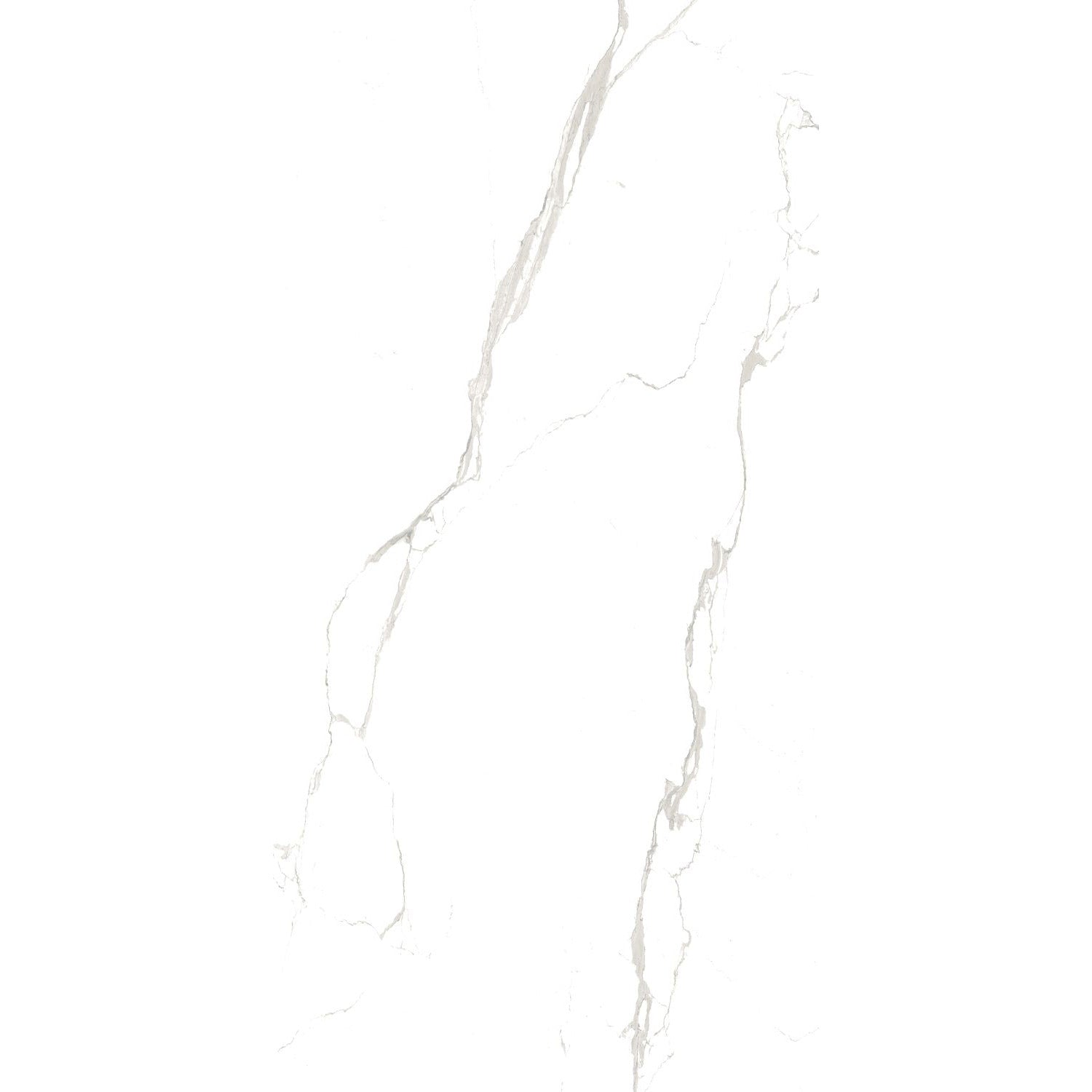 Victoria Carrara White Gloss Porcelain 60x120cm Kitchen Bathroom Wall Floor Tiles