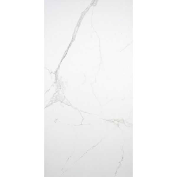 Palatina 60x120cm Gloss Walls and Floor Tiles - TILES Paradise