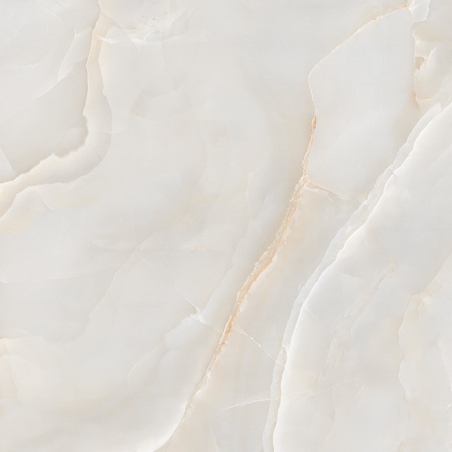 Onyx Diora Gold Polished 60x60cm Porcelain Wall and Floor Tile