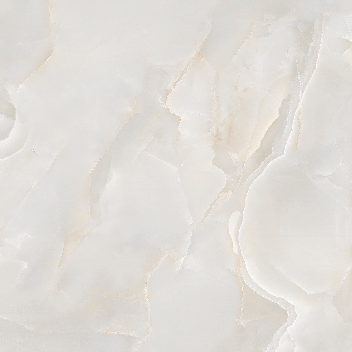Onyx Diora Gold Polished 60x60cm Porcelain Wall and Floor Tile