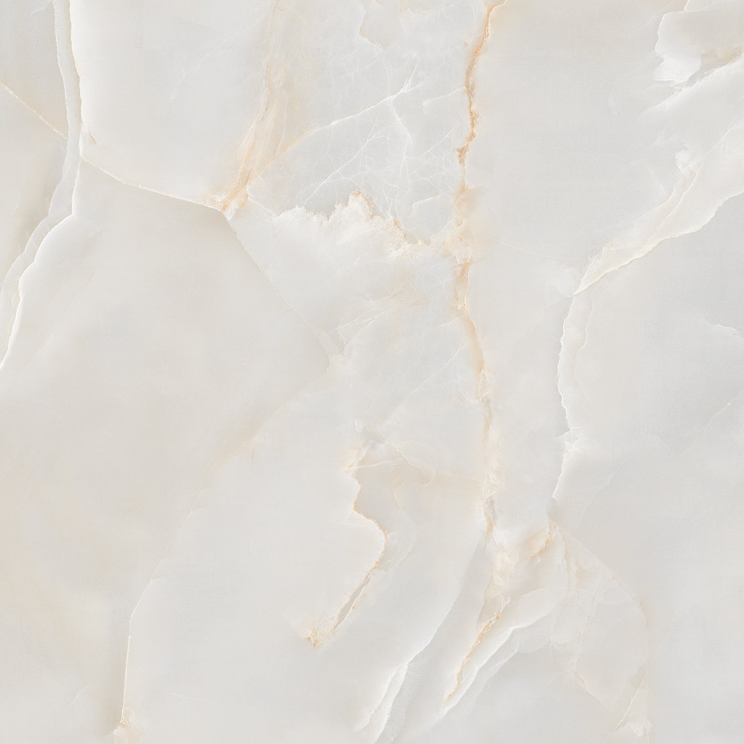 Onyx Diora Gold Polished 60x60cm Porcelain Wall and Floor Tile