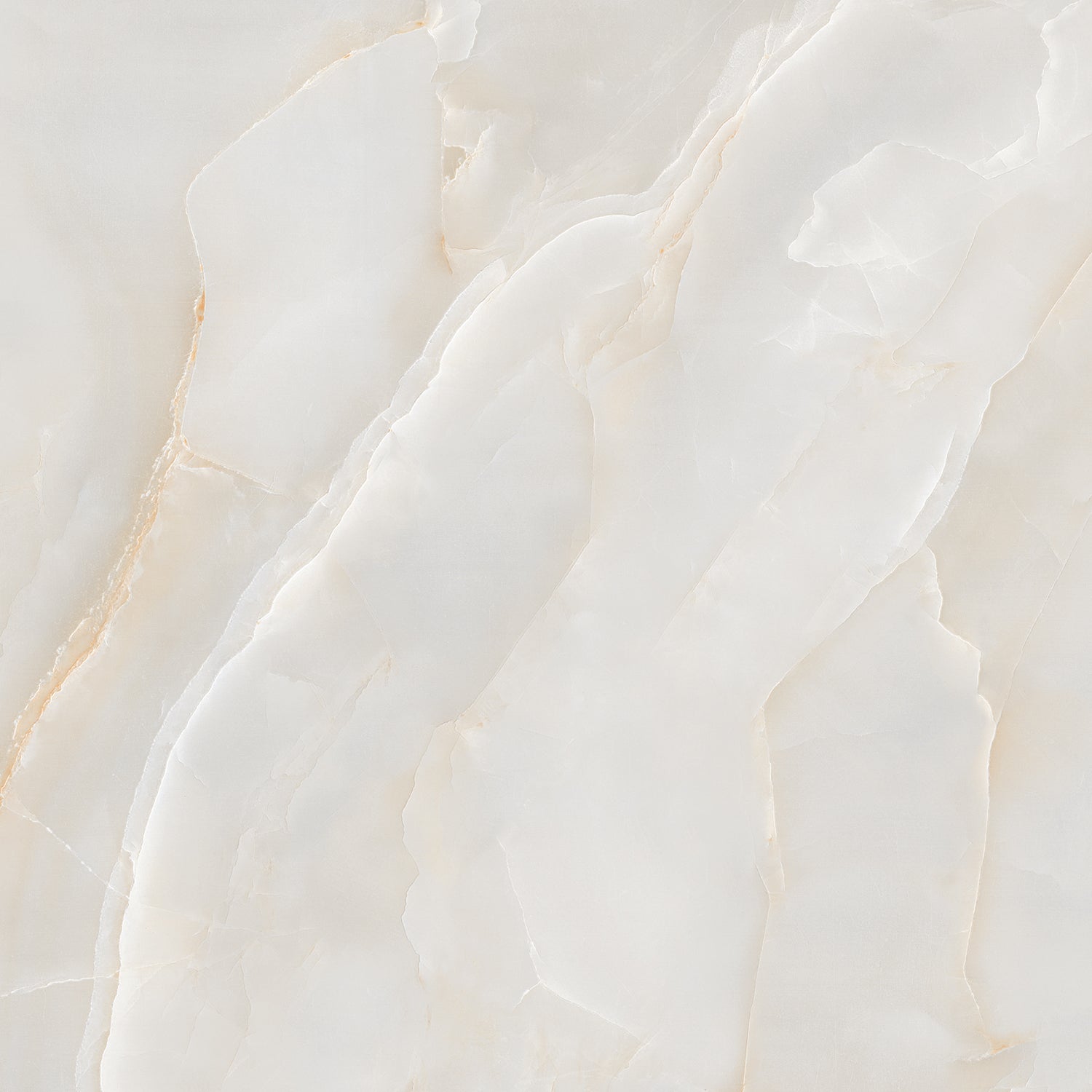 Onyx Diora Gold Polished 60x60cm Porcelain Wall and Floor Tile