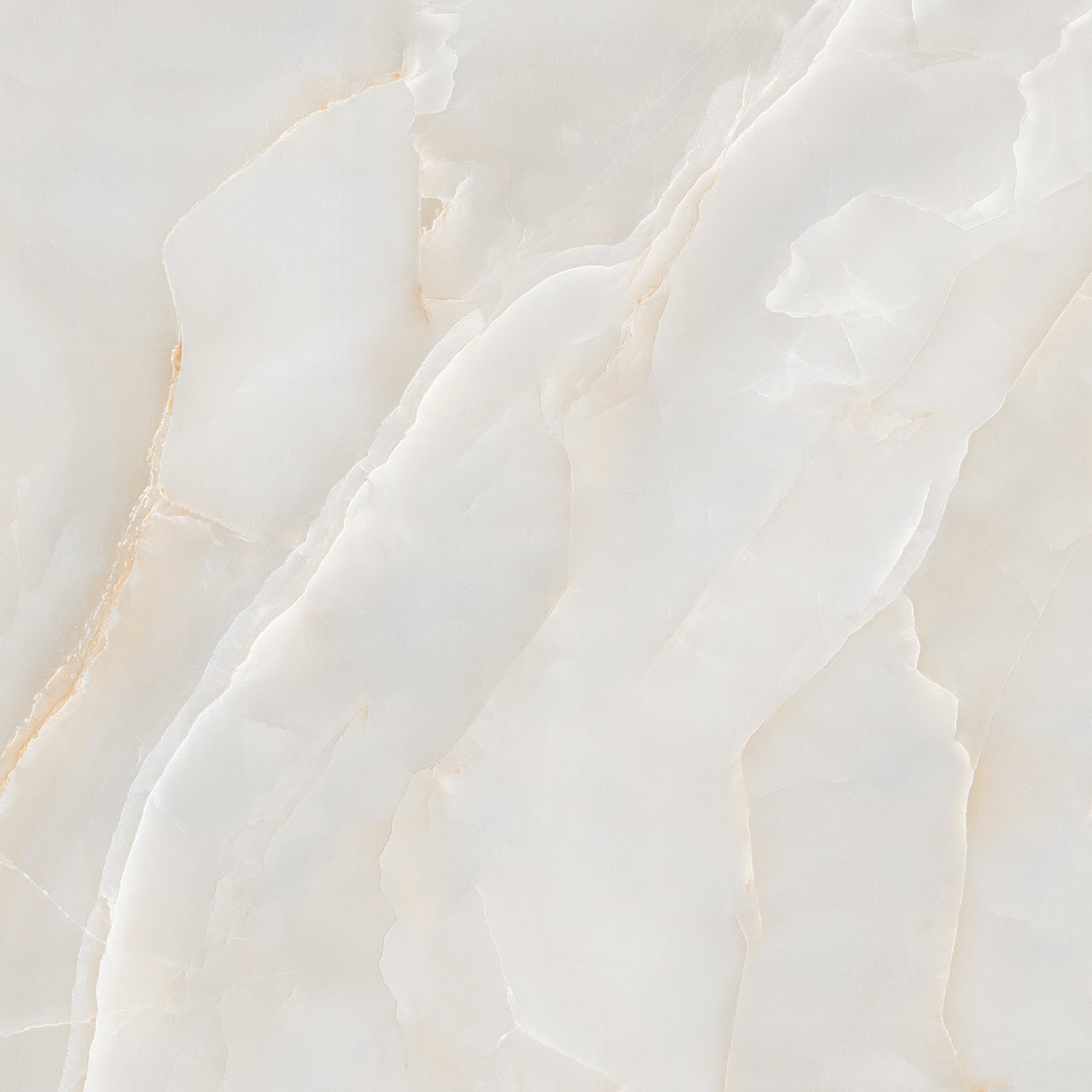 Onyx Diora Gold Polished 60x60cm Porcelain Wall and Floor Tile