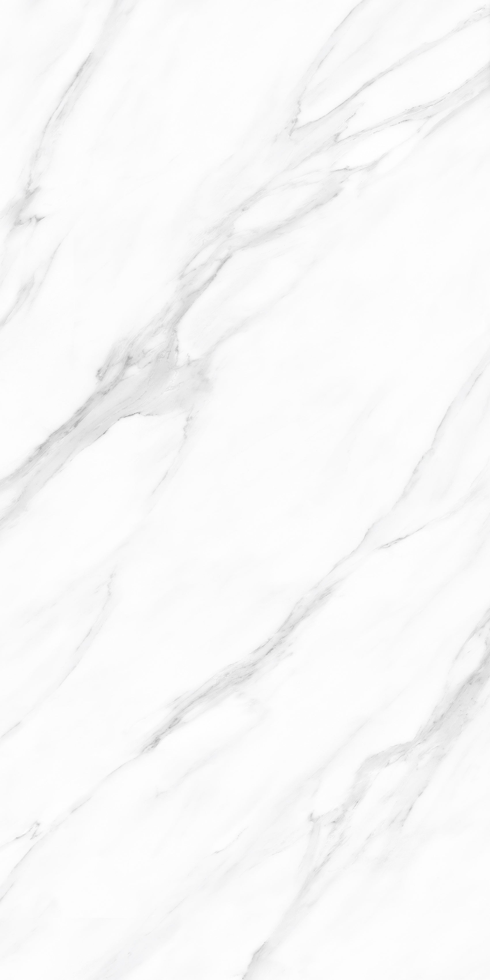 Carrara White Polished Marble Effect Porcelain 60x120cm Wall and Floor Tile