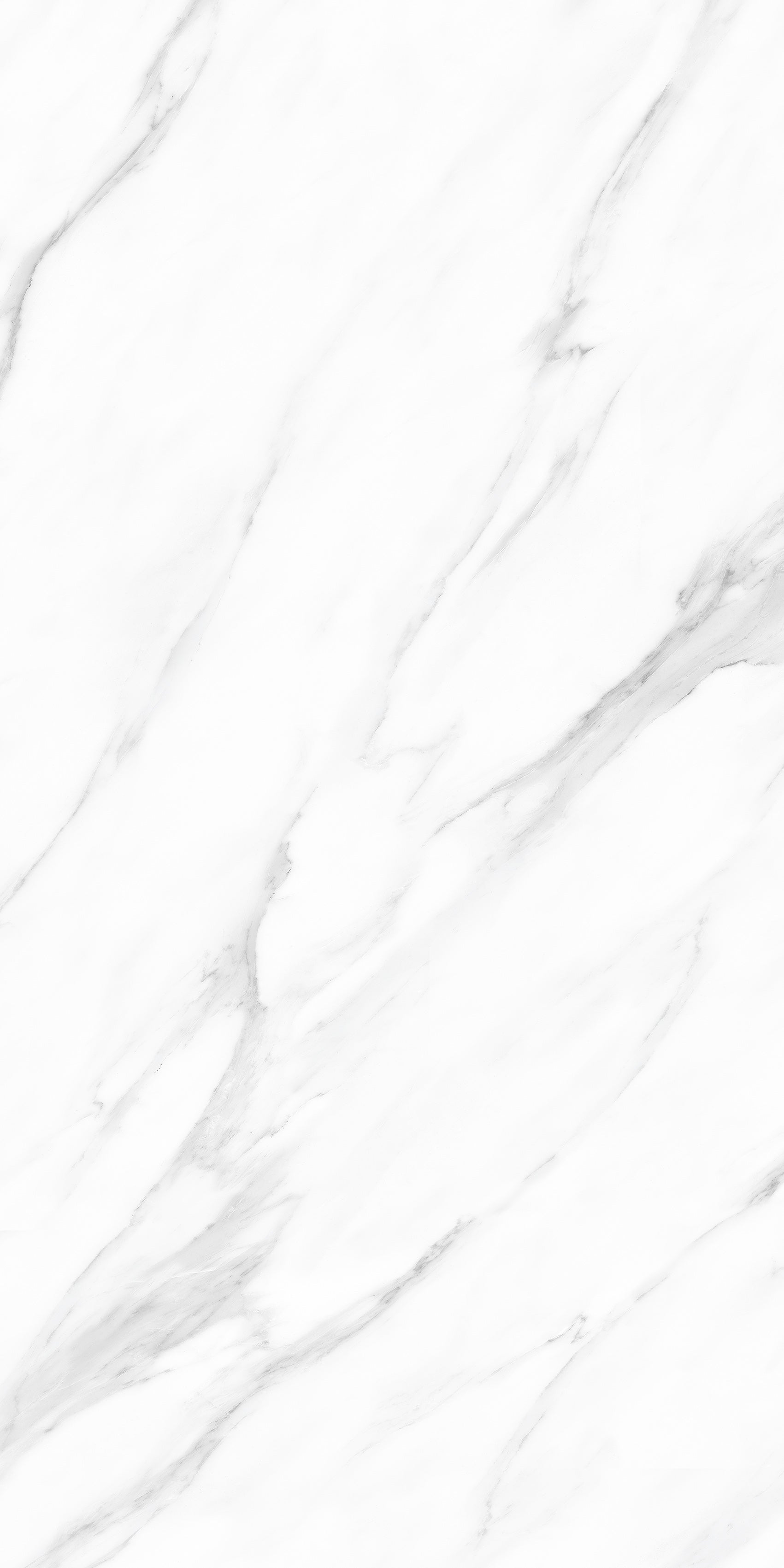 Carrara White Polished Marble Effect Porcelain 60x120cm Wall and Floor Tile