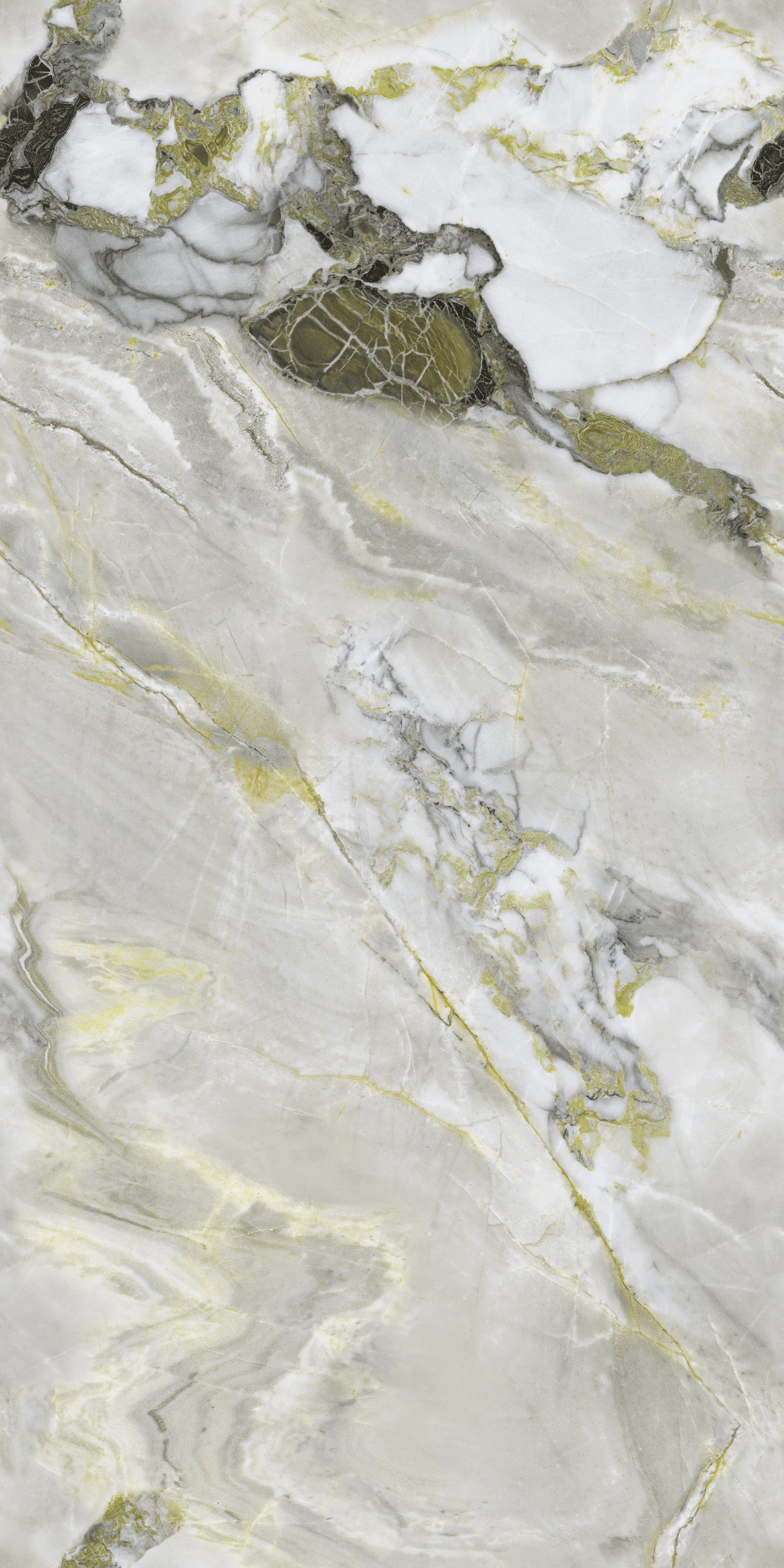 Astro Green Polished Porcelain 60x120cm Wall & Floor Tile