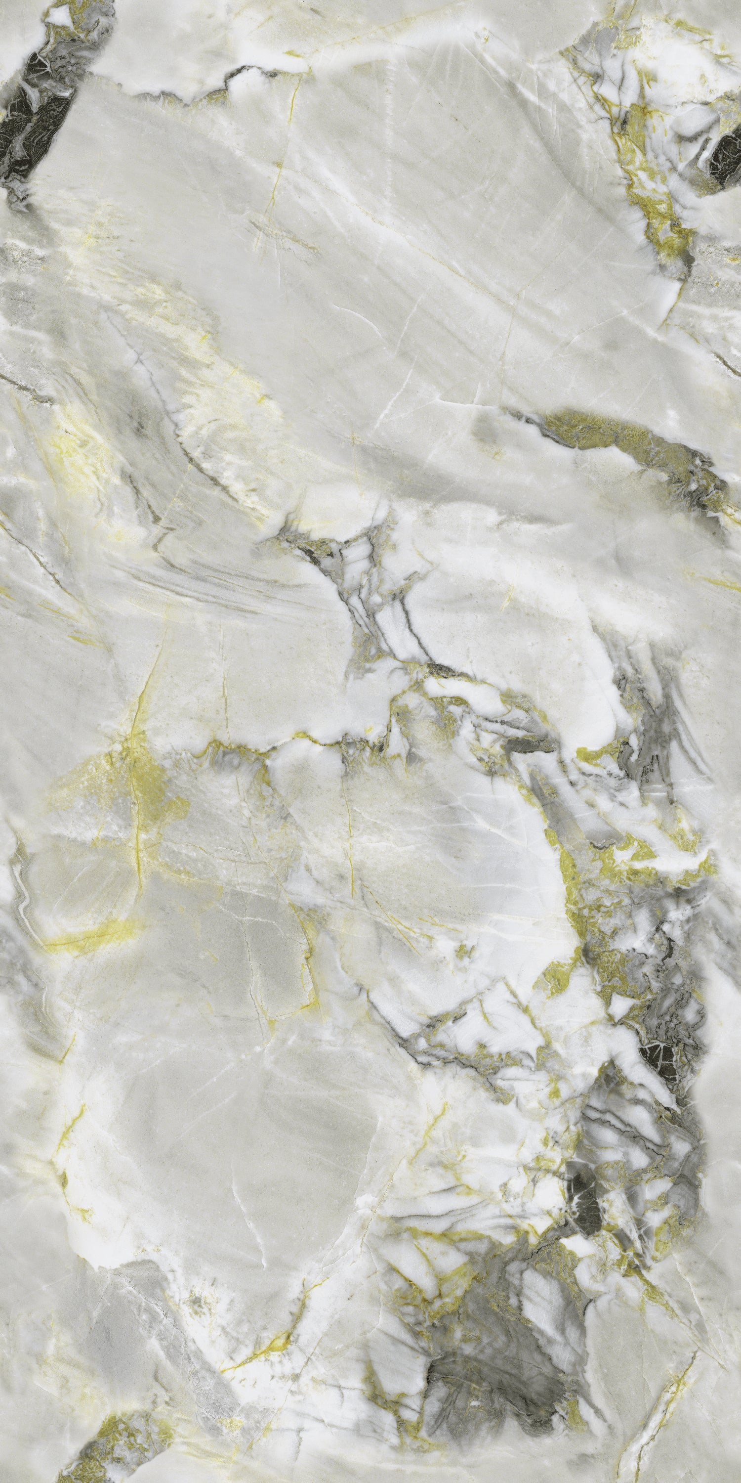Astro Green Polished Porcelain 60x120cm Wall & Floor Tile