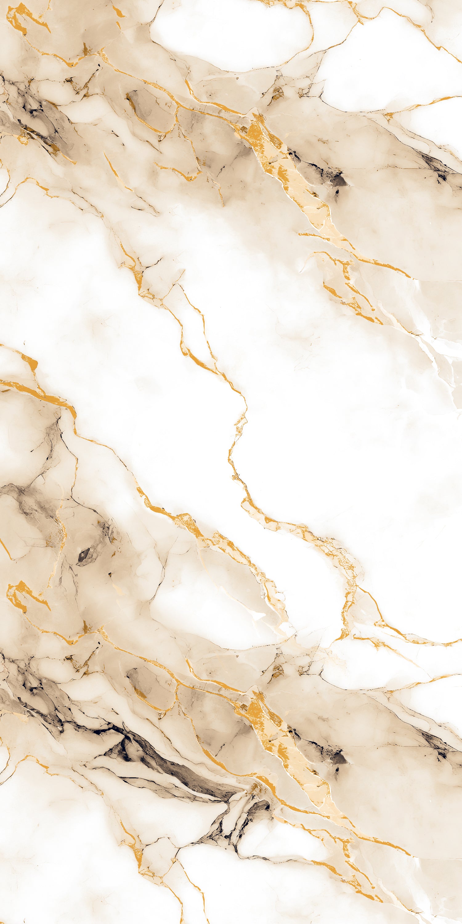 Afyon Gold Polished 60x120cm Porcelain Wall and Floor Tile