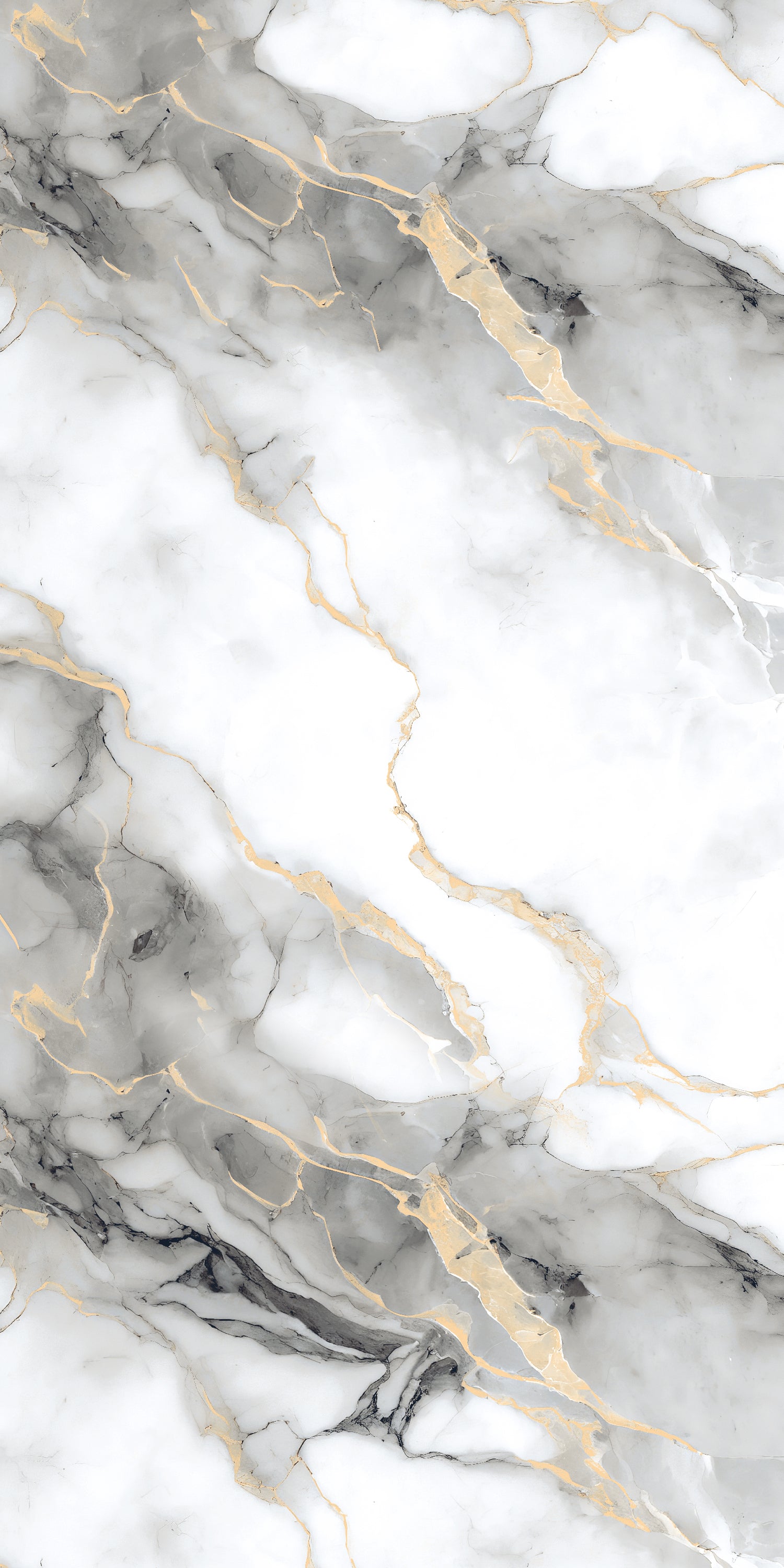 Afyon Grey Gold Polished 60x120cm Porcelain Wall and Floor Tile