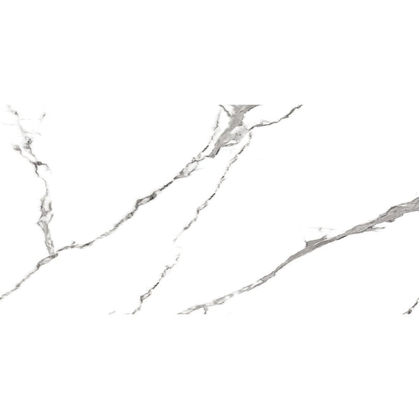 Athos Grey Marble Effect Polished 60x120cm Porcelain Wall & Floor Tile
