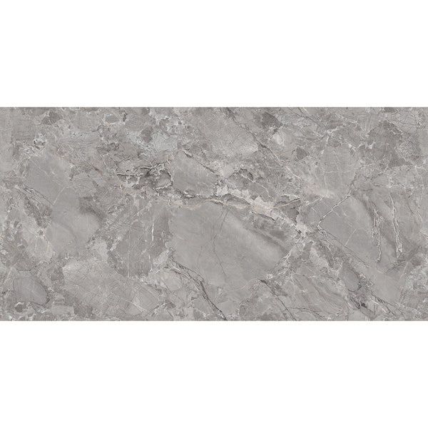 Endless Fontana Silver Marble Effect Matt Porcelain Wall & Floor Tile 60x120cm