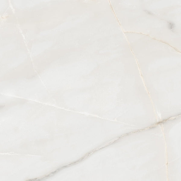 Essenza White Marble Effect Matt Porcelain Wall & Floor Tile 60x60cm