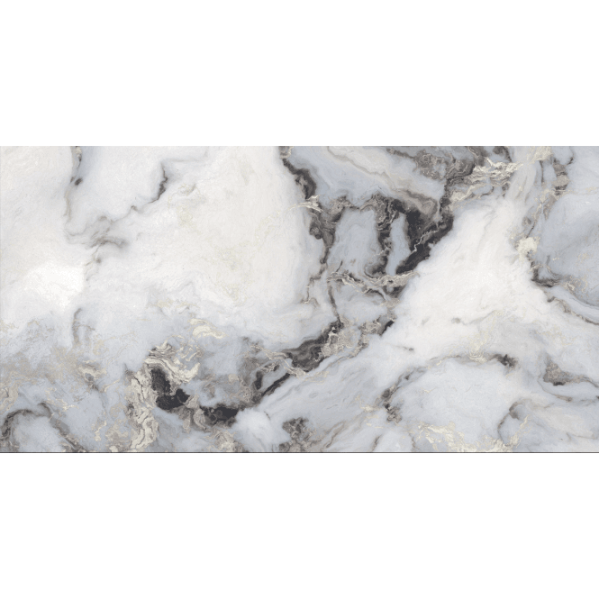 Exotica Silver Polished Porcelain 60x120cm Wall and Floor Tile