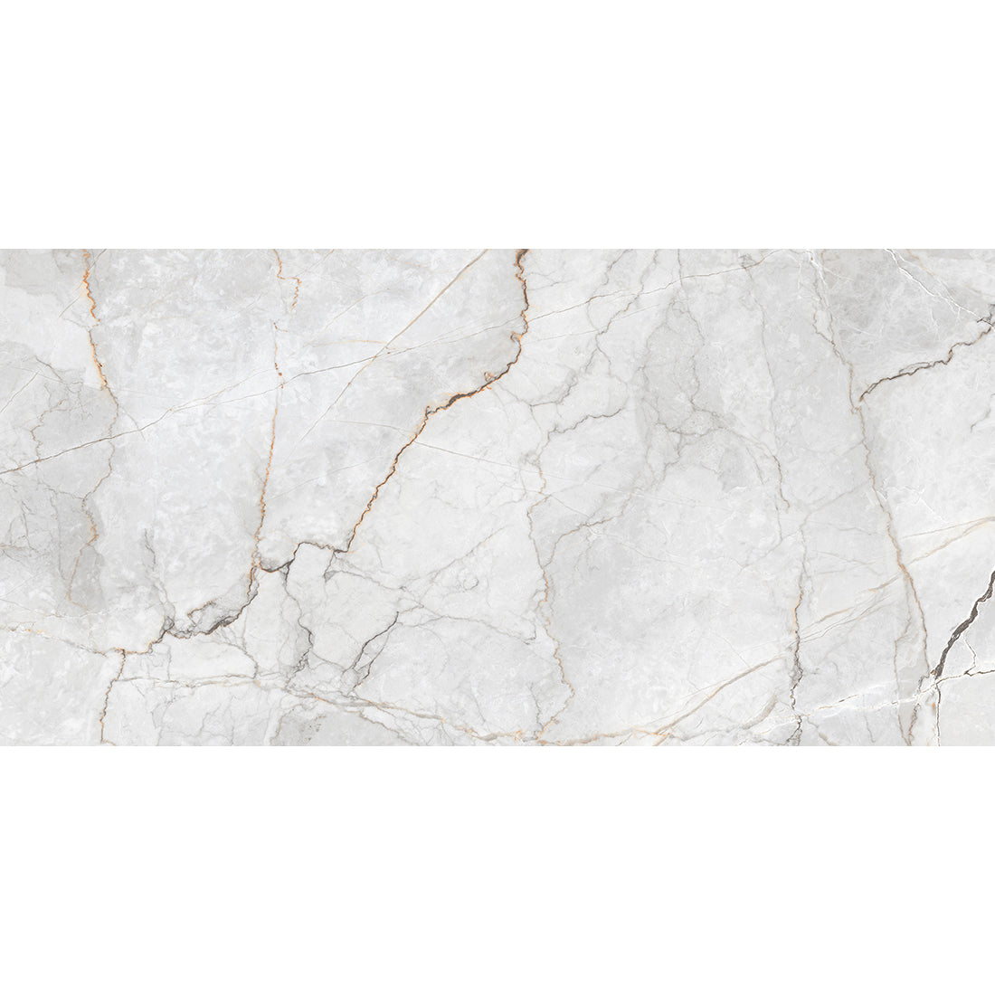 Sylvan Light Grey Marble Essence 60x120cm Polished Porcelain Wall & Floor Tile
