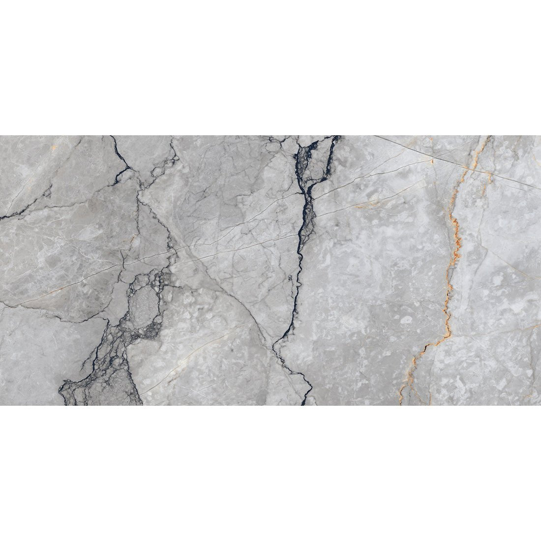 Sylvan Dark Grey Marble Essence 60x120cm Matt Anti - Slip Porcelain Wall & Floor Tile - TILES Paradise