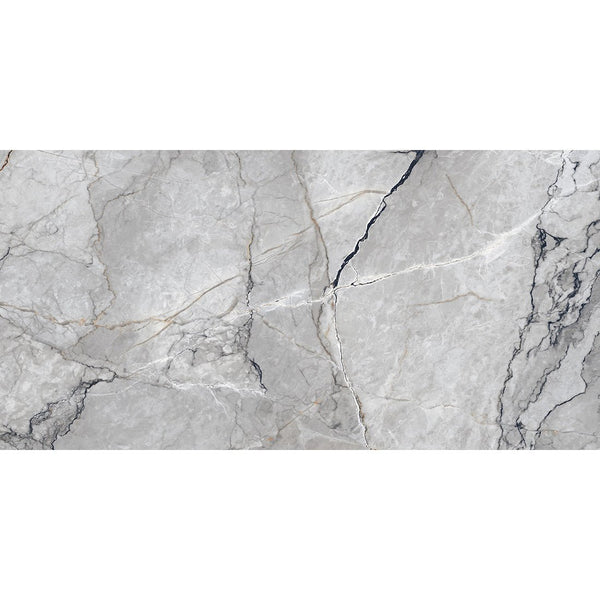 Sylvan Dark Grey Marble Essence 60x120cm Matt Anti-Slip Porcelain Wall & Floor Tile