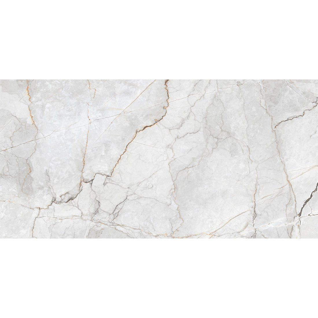 Sylvan Light Grey Marble Essence 60x120cm Matt Anti - Slip Porcelain Wall & Floor Tile - TILES Paradise