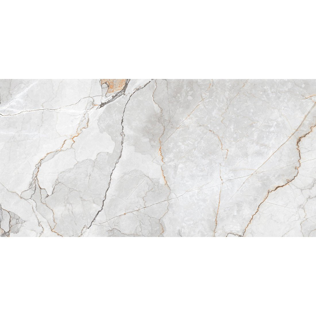 Sylvan Light Grey Marble Essence 60x120cm Polished Porcelain Wall & Floor Tile - TILES Paradise