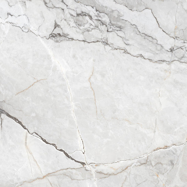 Sylvan Light Grey Marble Essence 60x60cm Matt Anti-Slip Porcelain Wall & Floor Tile