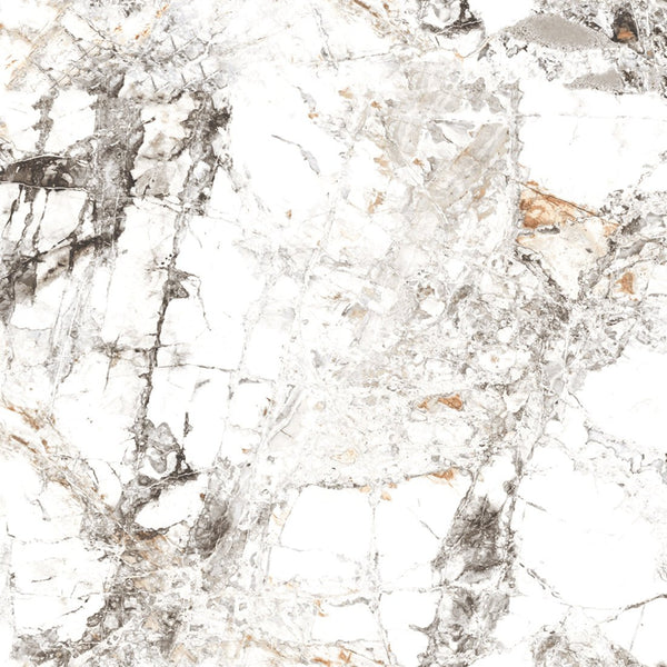 Zebra White Marble Effect Polished Porcelain Wall & Floor Tile 60x60cm
