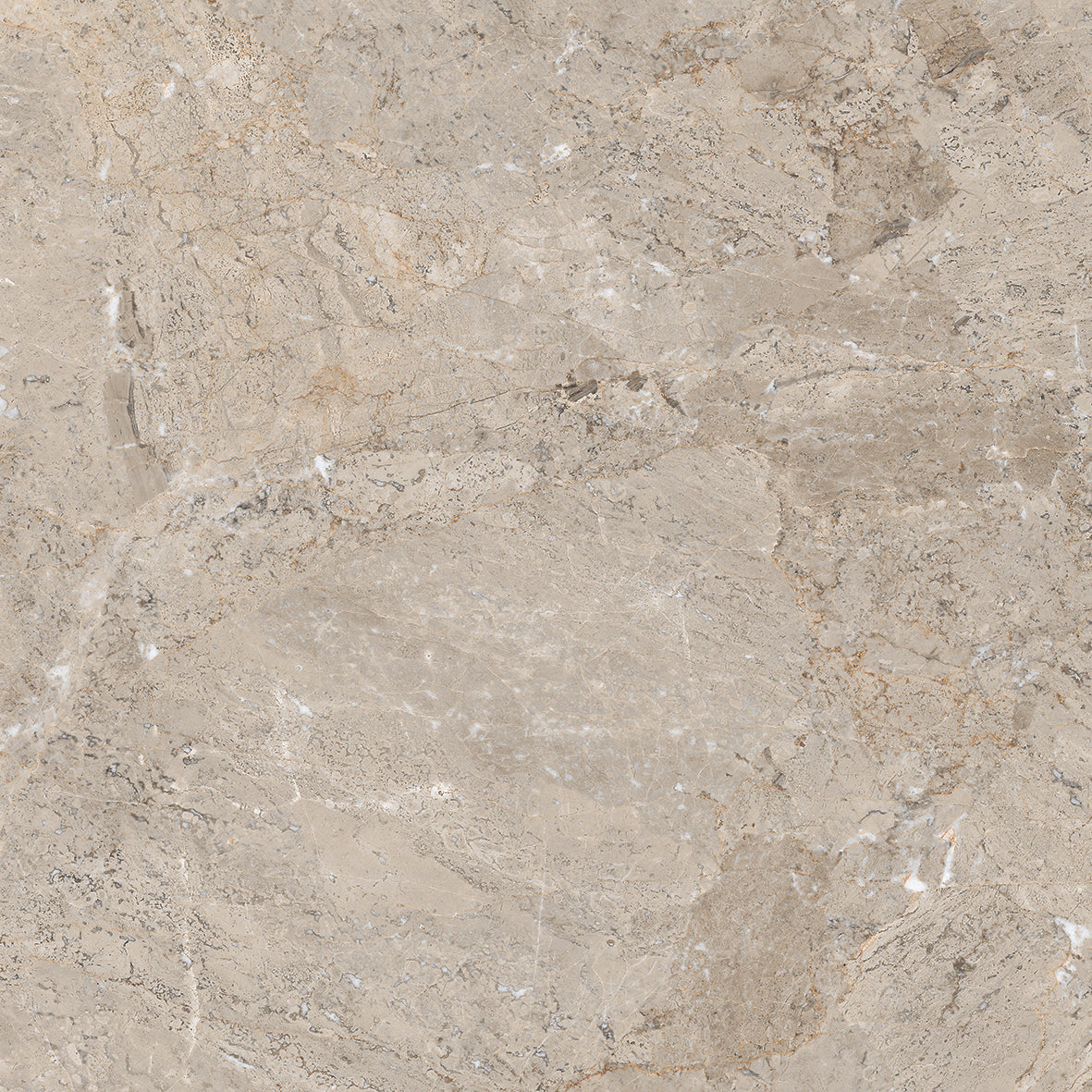 Sogno Grey gloss Porcelain 60x60cm Kitchen Bathroom Wall And Floor Tile