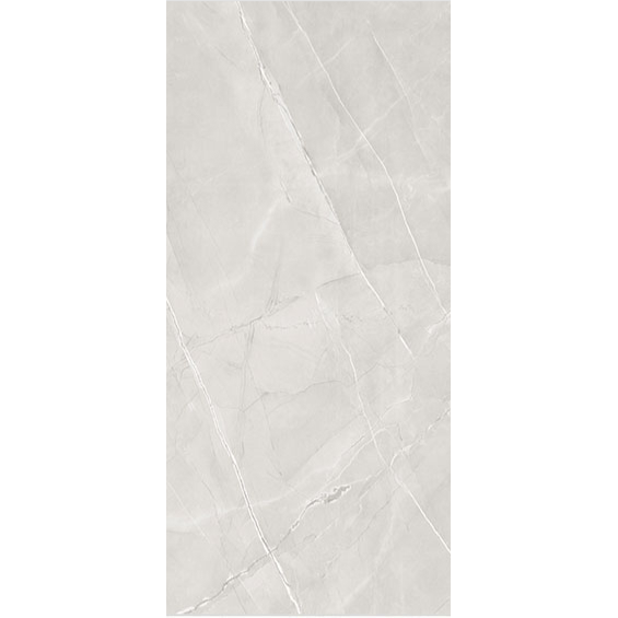 Scenic Dove Gloss Porcelain 60x120cm Kitchen Bathroom Wall Floor Tiles