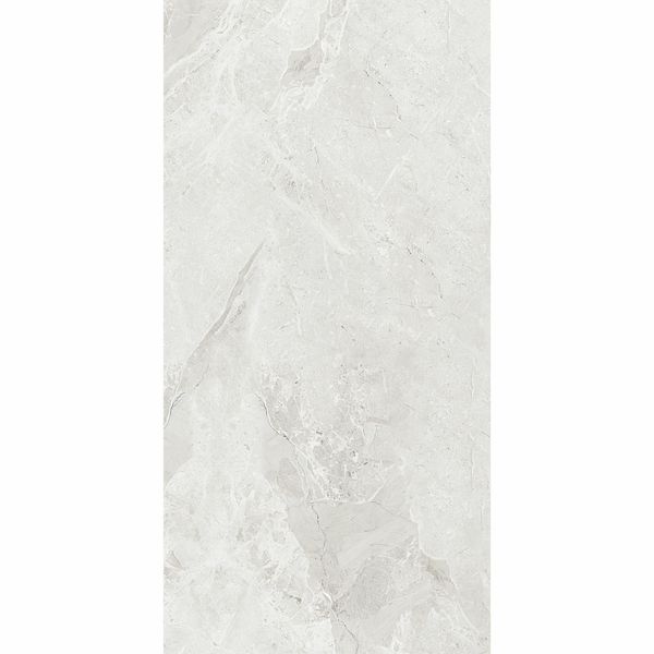 Giovanni Grey 60x120cm Polished Porcelain Wall and Floor Tile