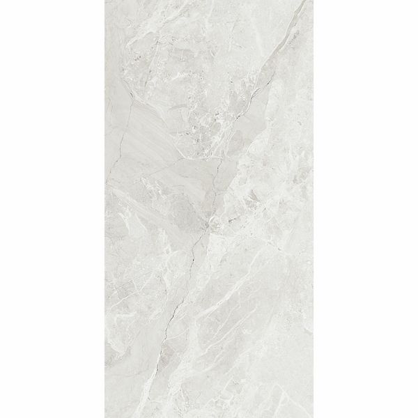 Giovanni Grey 60x120cm Polished Porcelain Wall and Floor Tile