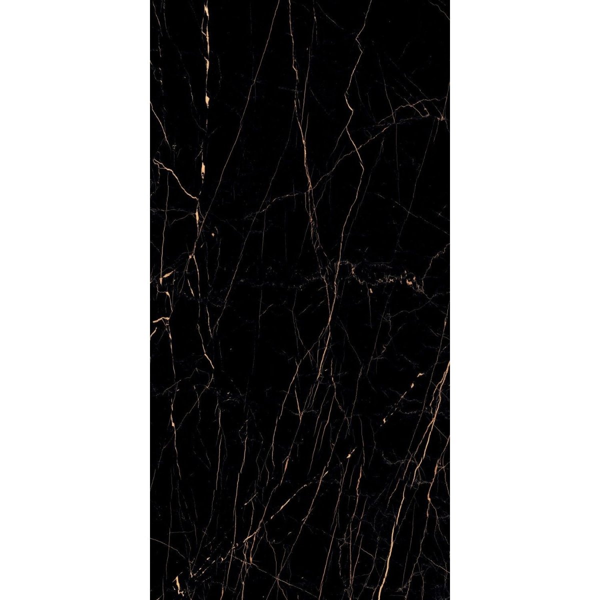 Luxurious Rich Black & Gold High Gloss Porcelain Tiles – 60x120cm for Kitchens & Bathrooms - TILES Paradise